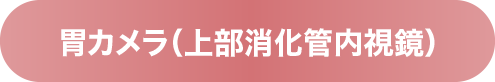 胃カメラ（上部消化管内視鏡）