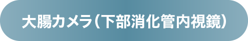 大腸カメラ（下部消化管内視鏡）